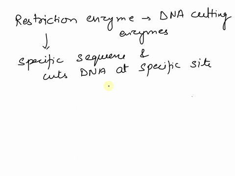 ia-circular-plasmid-has-restriction-sites-for-ecori-how-many-fragments-of-dna-would-be-created-if-the-plasmid-was-treated-with-ecori-23492