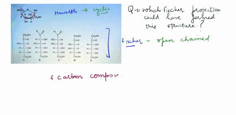 baseo-on-the-form-of-the-cyclic-sugar-shown-below-in-a-haworth-projection-which-fischer-projection-formula-could-have-formed-this-structurc-hochz-choh-oh-choh-c0-h-oh-ho-ho-oh-oh-oh-chhoh-ch-84633