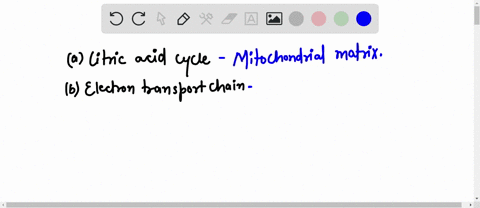question-11-which-of-the-following-pairs-of-pathways-and-their-location-in-the-cell-is-incorrectly-matched-citric-acid-cycle-cytoplasm-electron-transport-chain-mitochondrion-glycolysis-cytop-02124