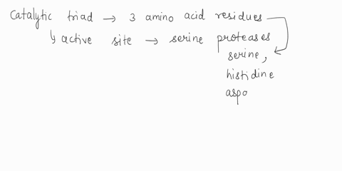 1-a-critical-transition-state-in-serine-protease-catalysis-is-the-tetrahdedral-intermediate-briefly-describe-the-role-played-by-each-member-of-the-catalytic-triad-in-the-process-of-forming-t-61077