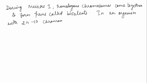question-17-1-point-saved-in-an-organism-with-2n-10-chromosomes-how-many-bivalents-would-be-expected-to-form-during-meiosis-i-1-5-02-40-3-20-4-15-5-10-50607