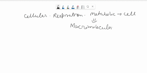 explain-how-cells-obtain-energy-from-biological-macromolecules-in-order-to-power-cellular-functions-cellular-respiration-photosyntheis-84105