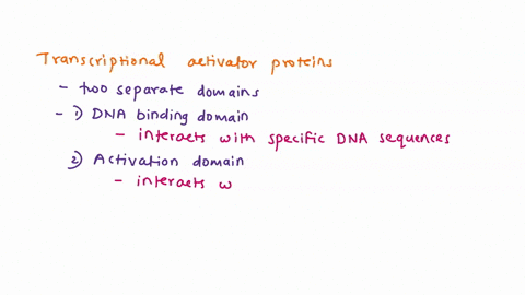 describe-the-structural-features-of-transcriptional-activator-and-repressor-proteins-00273