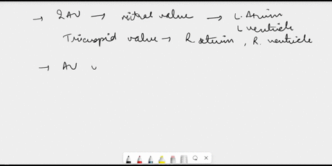 the-two-atrioventricular-valves-are-quastion-av-valves-connect-the-io-the-what-is-the-major-function-of-the-heart-qusatlon-primary-function-of-the-atria-are-to-question9-what-are-the-two-typ-54862