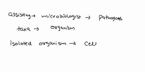 you-are-assisting-microbiologist-with-identifying-pathogens-based-on-severae-methods_-you-are-assigned-specimen-isolated-from-patients-infected-wound-upon-biochemical-analysis-the-organism-c-84597