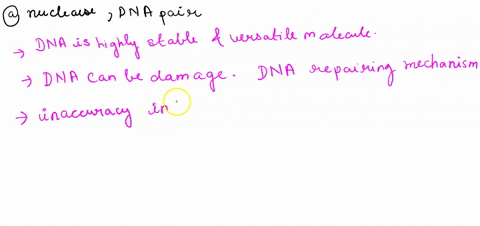 the-spontaneous-loss-of-amino-groups-from-adenine-in-dna-results-in-hypoxanthine-an-uncommon-base-3-81346