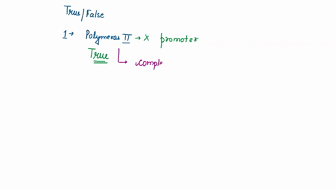 are-the-following-true-or-false-rna-polymerase-ii-cannot-bind-to-its-promoter-until-transcription-factors-have-first-bound-it-true-or-false-dna-in-the-30-nm-fiber-cannot-be-replicated-true-o-82326