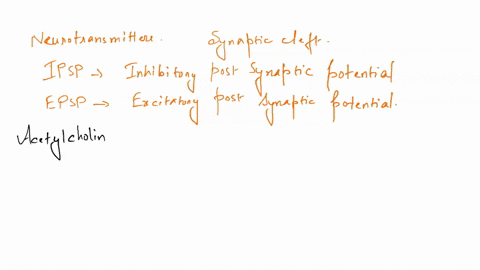 ifa-drug-inhibits-the-uptake-of-an-excitatory-neurotransmitter-after-it-has-been-released-into-the-synaptic-cleft-what-is-the-most-likely-result-select-an-answer-and-submit-for-keyboard-navi-41472