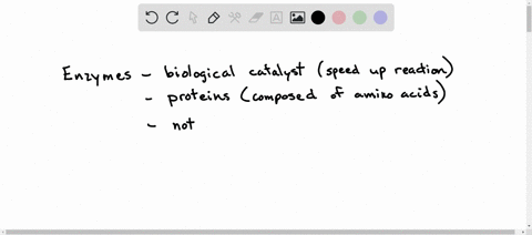 which-of-the-following-is-not-true-about-enzymes-a-they-increase-delta-g-of-reactions-b-they-are-usu-67685