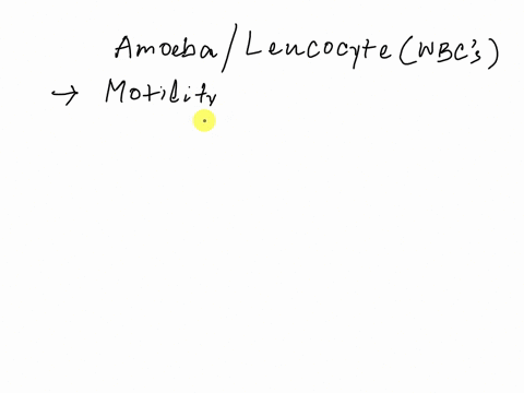 question-40-1-point-a-leukocyte-can-be-compared-to-an-amoeba-because-of-its-mobility-capacities-true-false-save-question-41-1-point-choose-among-the-following-list-the-diseause-that-is-not-c-32122