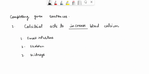 complete-each-sentence-by-dragging-the-proper-word-or-phrase-into-the-appropriate-position-then-place-each-sentence-in-the-correct-order-of-vitamin-d-synthesis-and-its-effects-drag-the-text-57168