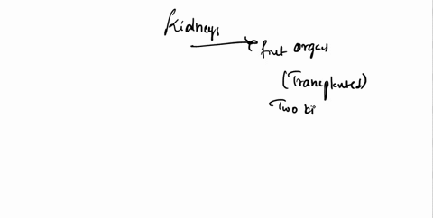 kidneys-were-the-first-organs-to-be-transplanted-successfully-a-donor-can-live-a-normal-life-with-3-91655