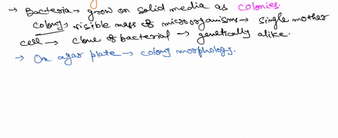 discuss-in-details-the-possible-reasons-for-any-observed-differences-in-a-colony-morphology-and-the-biochemical-characteristic-of-the-control-as-compare-to-the-uv-treatment-for-the-different-37183