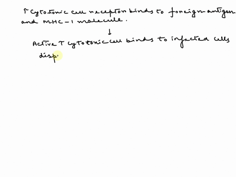 please-place-in-order-asap-5-place-the-events-of-t-cytotoxic-cell-activation-in-chronological-order-active-t-cytotoxic-cells-bind-to-infected-cell-displaying-a-foreign-antigen-activated-t-he-09106