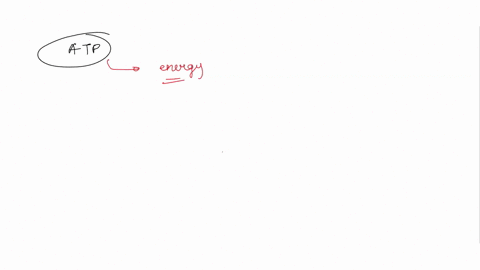 which-of-the-following-molecules-is-likely-to-have-the-most-potential-energy-a-sucrose-b-atp-c-gluco-71689