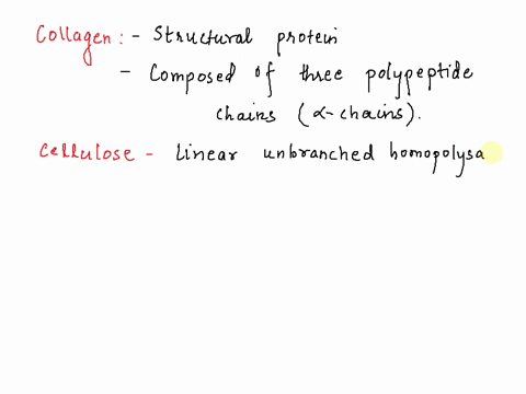 which-of-the-following-is-not-a-polysacchride-a-collagen-b-cellulose-c-chitin-d-starch-30197