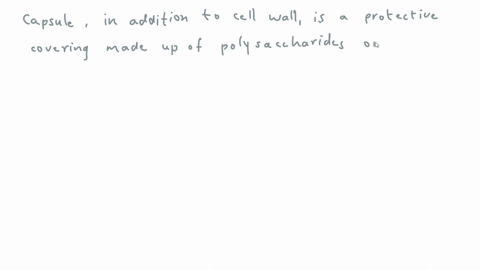 is-the-following-statement-true-or-false-some-prokaryotes-have-an-extra-protective-layer-called-the-capsule-in-addition-to-the-cell-wall-true-false