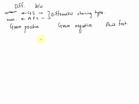 describe-the-differences-between-gram-negative-gram-positive-and-acid-fast-bacteria-27026