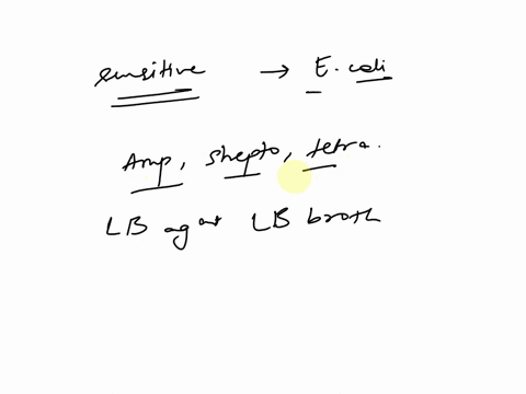 design-an-experiment-to-produce-bacteria-resistant-to-ampicillin-streptomycin-and-tetracycline-69066
