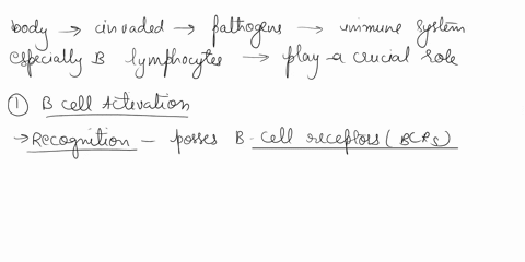 6-2-points-your-body-has-been-invaded-by-pathogenic-bacteria-explain-how-your-b-lymphocytes-will-respond-and-how-this-response-can-ultimately-result-in-the-death-of-the-invading-bacterial-ce-39753