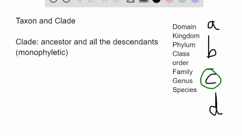 the-only-taxon-that-is-always-the-same-as-a-clade-is-the_________-a-genus-b-family-c-species-d-kingd-44761
