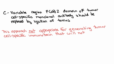 a-potentially-valuable-therapeutic-approach-for-killing-tumor-cells-without-affecting-normal-cells-is-the-use-of-immunotoxins-lmmunotoxins-constitute-monoclonal-antibodies-against-tumor-cell-02548