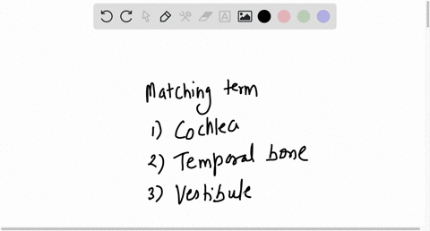 b-write-the-term-that-matches-each-meaning-1-contains-sound-receptors-2bone-in-which-inner-ear-is-embedded-3-contains-receptors-for-static-equilibrium-4-connects-middle-ear-to-pharynx-5-inte-48649