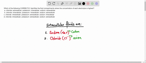 which-of-the-following-correctly-identifies-the-fluid-compartments-where-the-concentration-of-each-electrolyte-is-highest-a-chloride-extracellular-potassium-intracellular-sodium-extracellula-97755