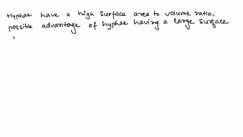 hyphae-have-a-very-high-surface-are-to-volume-ratio-meaning-there-is-not-a-lot-of-space-inside-the-hyphae-that-is-far-from-the-hyphae-walls-what-are-the-possible-advantages-of-hyphae-having-01274