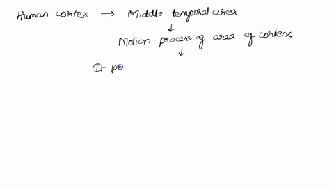 the-middle-temporal-mt-area-of-human-cortex-appears-to-play-an-important-role-in-the-perception-of-a-79256