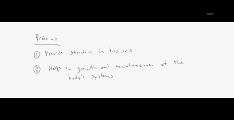 summarize-the-role-and-function-of-proteins-in-the-body