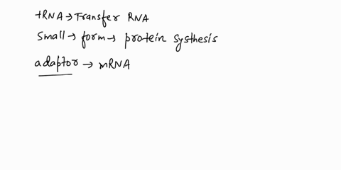 the-sites-on-a-ribosome-where-trna-molecules-may-be-located-include-a-the-a-site-c-the-e-site-b-the-p-site-d-all-of-the-above-94707