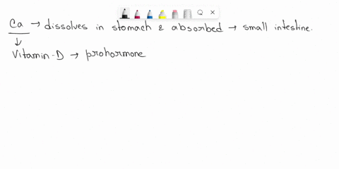 which-mineral-is-essential-for-the-absorption-of-calcium-and-critical-for-bone-strength-21776