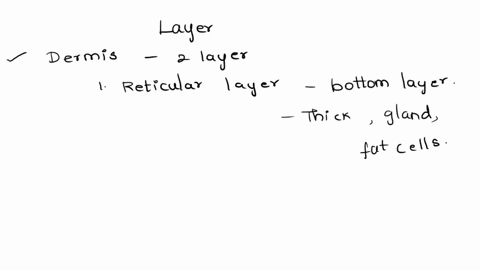 which-layer-is-highlighted-reticular-layer-of-dermis-stratum-basale-epidermis-papillary-layer-of-dermis-hvpodermis-82456