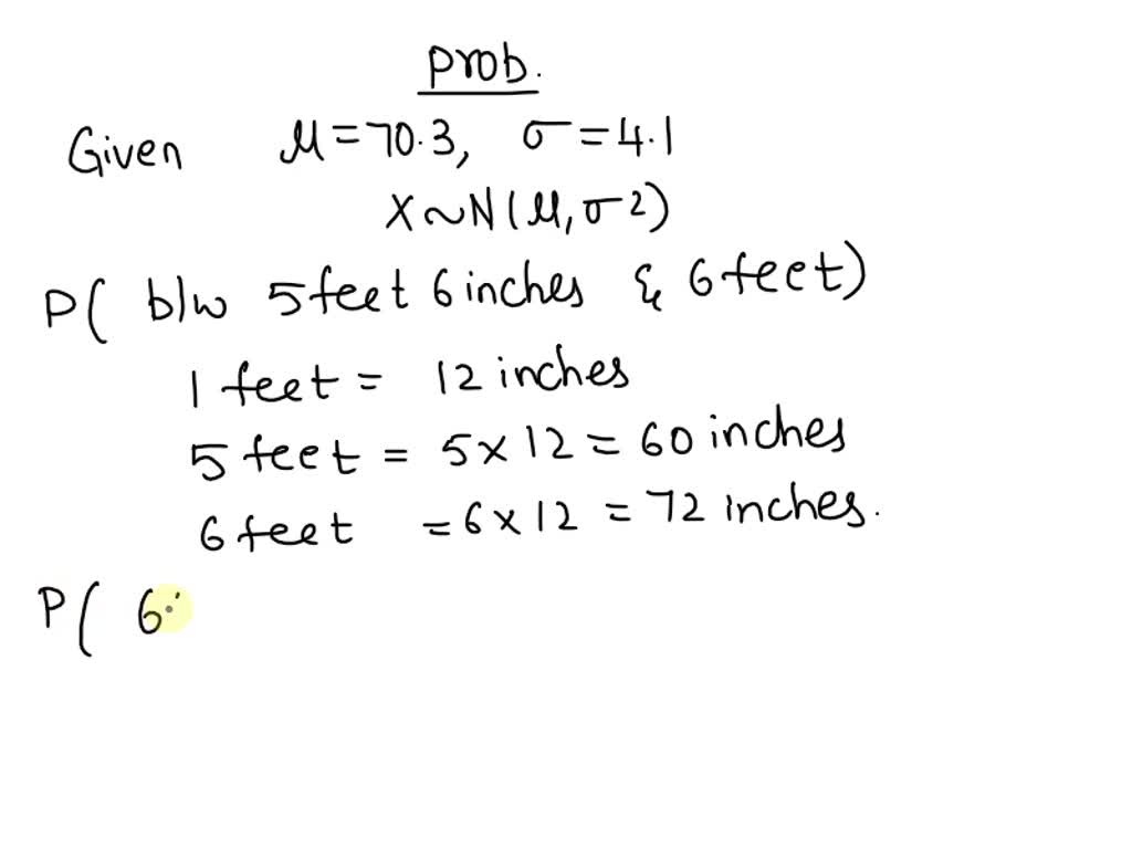 6 foot 6 inches hotsell in metres