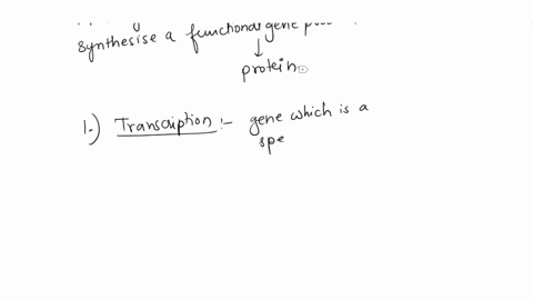 describe-the-process-of-gene-expression-from-gene-to-protein-and-how-a-gene-affects-the-phenotype-expressed-by-an-organism-64613