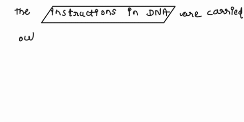 the-instructions-included-in-dna-are-found-in2-if-the-coding-sequence-of-dna-is-gca-the-non-coding-sequence-will-be-53105