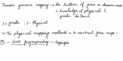 gene-maps-represent-the-distribution-of-loci-in-a-genome-a-variety-of-techniques-are-used-to-construct-gene-maps-because-gene-maps-of-organisms-with-large-genomes-are-typically-constructed-b-88804