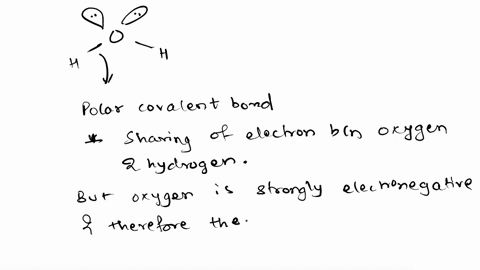 which-statements-accurately-describe-the-polarity-and-electronegativity-of-water-water-has-polar-bonds-and-a-linear-symmetrical-shape-so-it-is-polar-strong-covalent-bonds-are-formed-between-53423