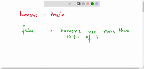 humans-use-less-than-10-of-their-brain-true-or-false-99125
