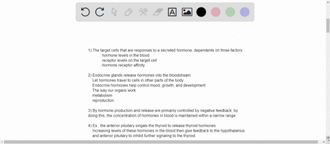 1-decribe-factors-that-determine-a-hormones-response-at-a-target-cell-2-be-able-to-place-the-components-endocrine-information-flow-in-order-3-describe-how-hormone-levels-exist-in-a-narrow-ra-32267