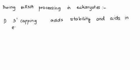 after-transcription-has-been-completed-in-eukaryotes-the-mrna-molecule-first-goes-through-some-processing-explain-the-3-main-things-that-are-done-during-mrna-processing-85197