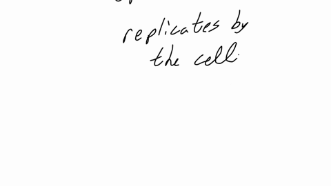 which-layer-of-epidermis-replicates-by-the-cell