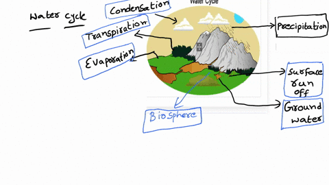 Water Cycle Schematic Stock Illustrations – 137 Water Cycle Schematic Stock  Illustrations, Vectors & Clipart - Dreamstime