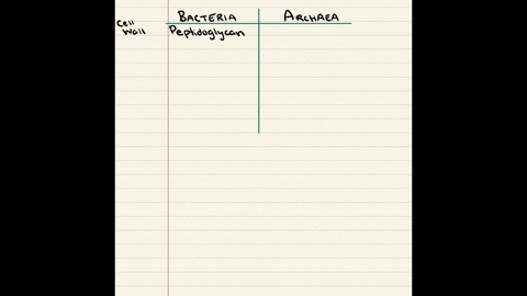 three-differences-between-archae-and-bacteria