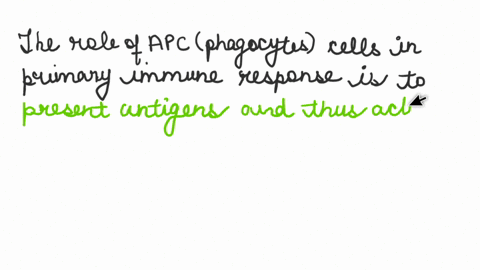 what-is-the-role-of-apc-phagocytes-cells-in-the-primary-immune-response-apc-cells-present-antigen-to-memory-helper-t-cells-apc-cells-present-antipgens-to-activated-helper-t-cells-apc-cells-d-32315