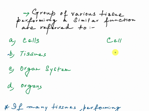 a-group-of-tissue-that-perform-a-similar-function-is-called__________________-a-cells-b-tissues-c-organs-dorgans-systems-75343