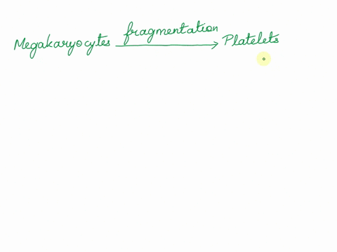 platelets-are-not-cells-but-they-contain-subcellular-organelles-found-in-the-cytoplasm-of-normal-cells-how-do-platelets-incorporate-these-cellular-elements-93585