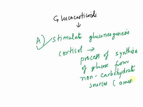 58the-glucocorticoids-astimulate-gluconeogenesis-b-increase-the-inflammatory-response-csupplement-the-sex-hormones-from-the-gonads-ddecrease-synthesis-of-glycogen-estimulate-glycogenolysis-5-07897