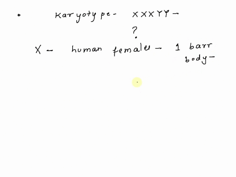 a-human-with-the-karyotype-49-xxxyy-forms-_______-barr-bodies-10813
